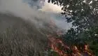 آتش‌سوزی منطقه حفاظت شده «بوزین و مرخیل» مهار شد