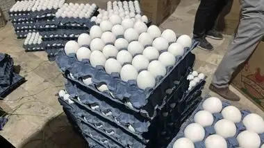 صادرات تخم مرغ  2 برابر می‌شود