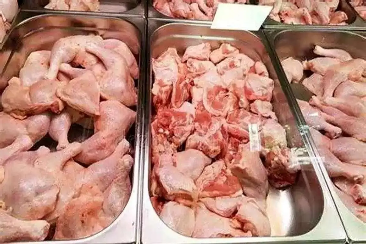 قیمت مرغ امروز 5 تیر 1402/ مصرف مرغ در ایران چند درصد کاهش یافته است؟