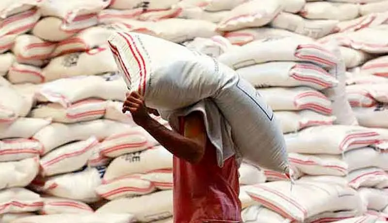 خبر جديد در مورد واردات برنج