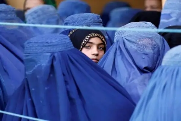طالبان اردوگاه‌هایی برای آموزشی القاعده ایجاد کرده است؟