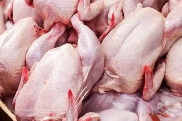 ثبات در بازار گوشت و مرغ