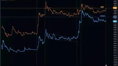 همبستگی قیمتی دوج کوین و ریپل / زمان رشد دوج کوین فرا رسیده؟