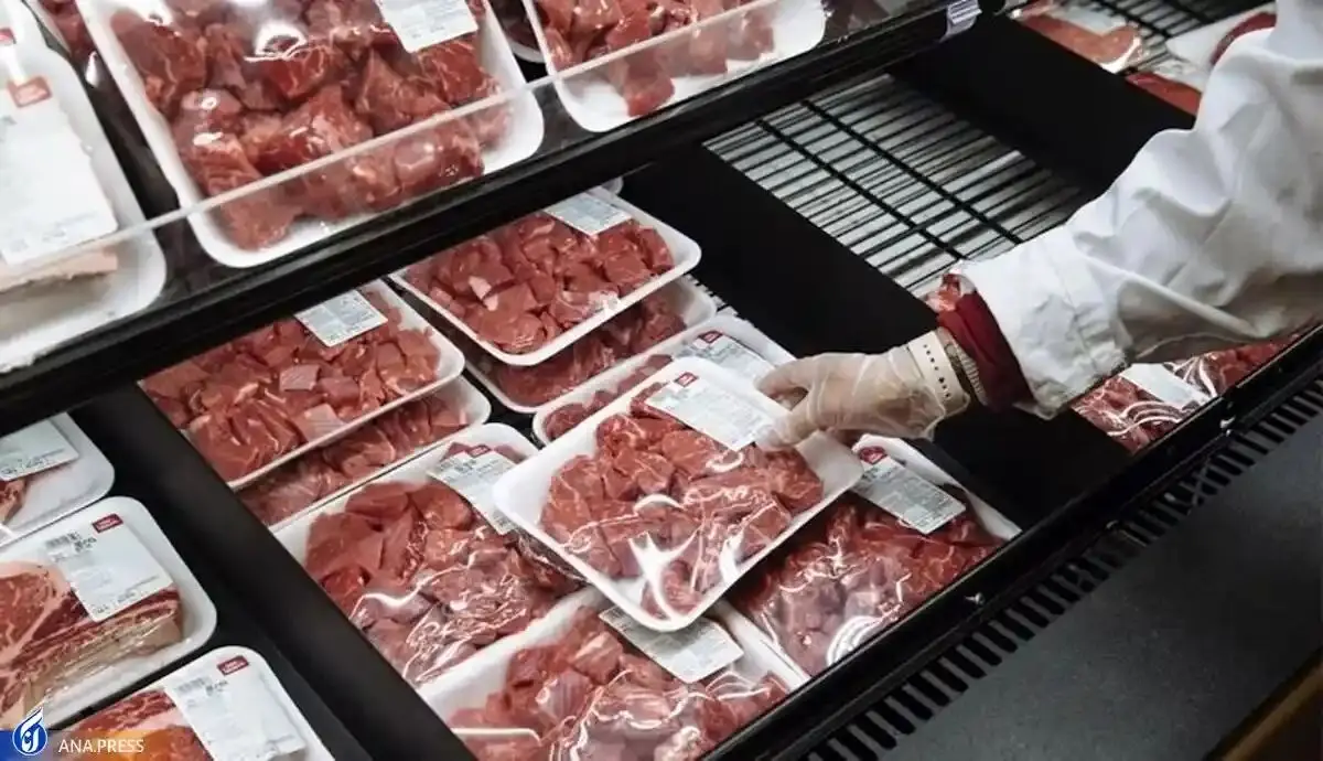 ترخیص محموله گوشت منجمد برزیلی پس از ۱ سال