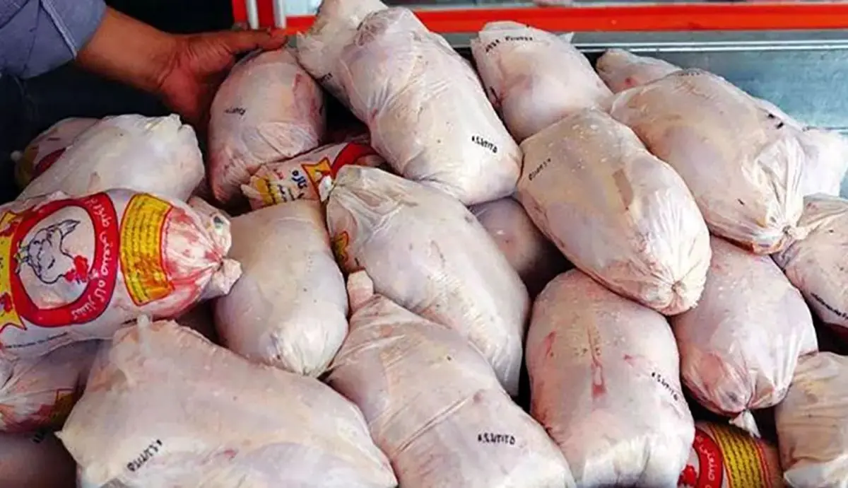 آغاز توزیع ۶۰۰ تن مرغ گرم و منجمد در بازار از این هفته
