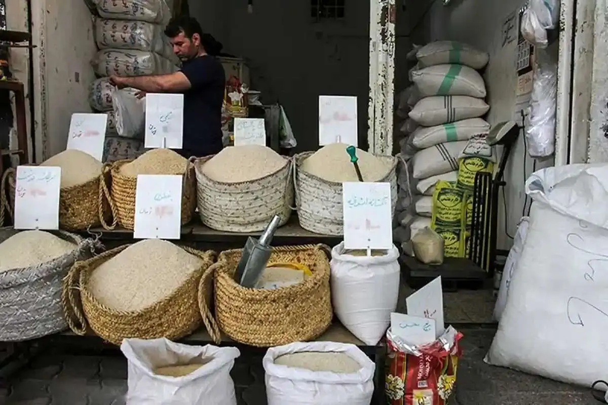 افزایش ۲۴۰ درصدی قیمت برنج از شالیزار تا فروشگاه