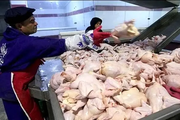 چرا قیمت مرغ از 110 هزار تومان عبور کرد؟