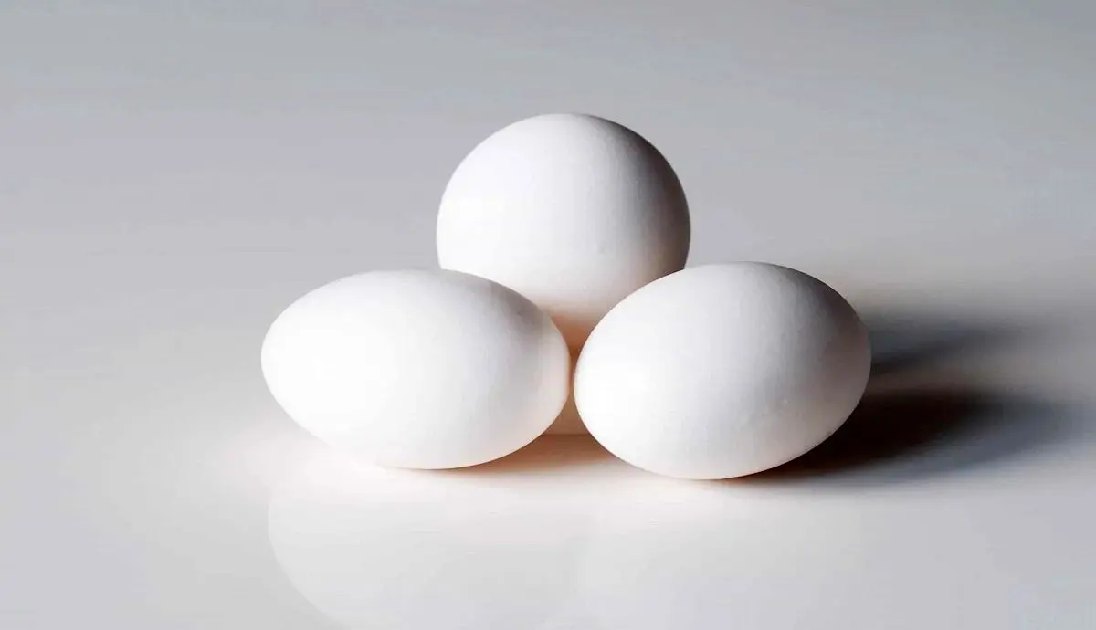 قیمت تخم مرغ همچنان کمتر از قیمت مصوب