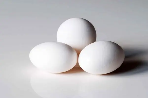 ۱۰۰ هزار تن تخم‌مرغ صادر شد