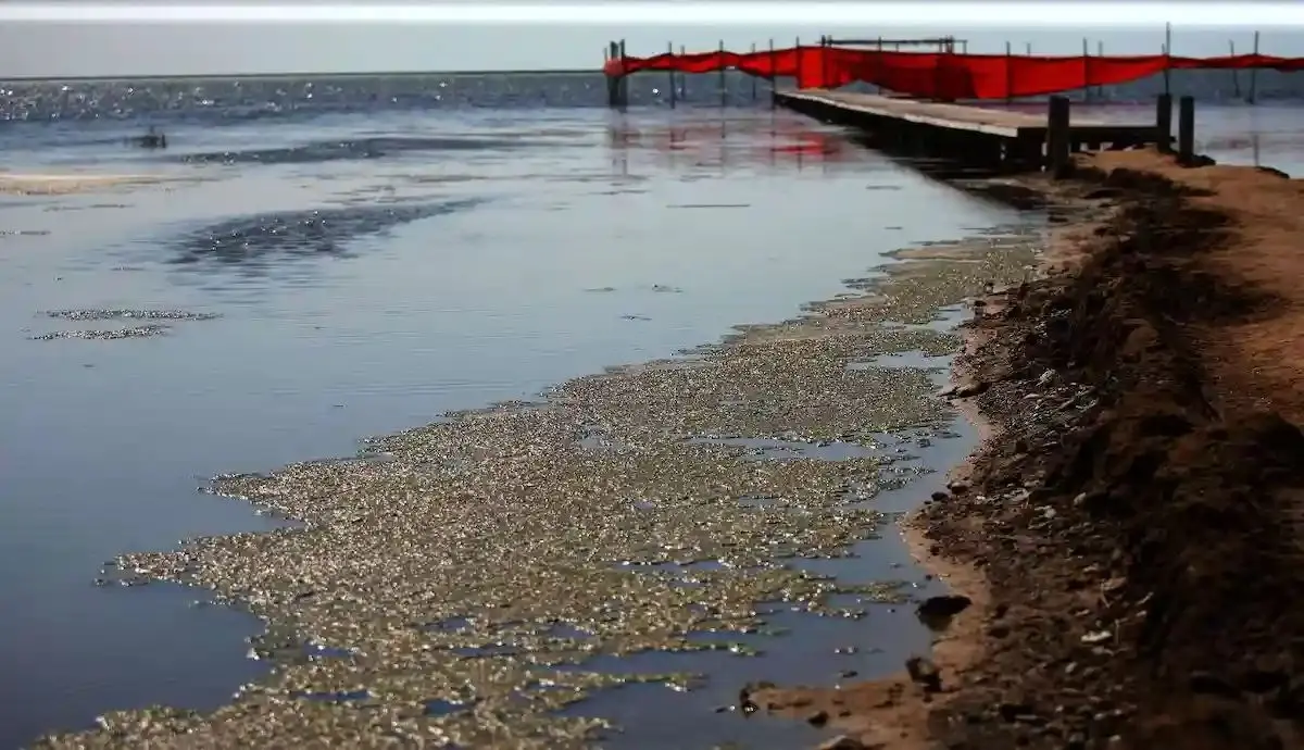 دریای خزر در حال خشک شدن است؟
