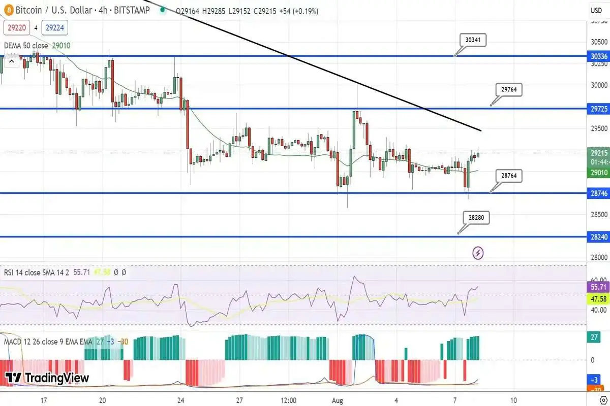 پیش بینی قیمت بیت کوین / سطح 30 هزار دلار احیا می‌شود؟