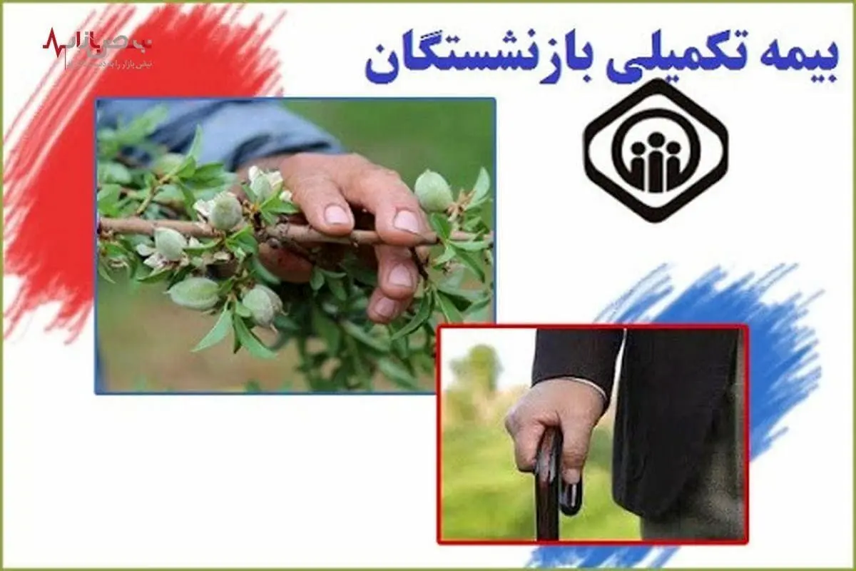 آغاز اجرای طرح بیمه تکمیلی بازنشستگان تأمین اجتماعی + جزئیات 