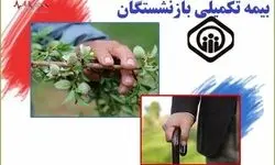 آغاز اجرای طرح بیمه تکمیلی بازنشستگان تأمین اجتماعی + جزئیات 