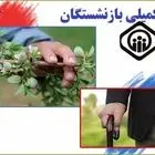 آغاز اجرای طرح بیمه تکمیلی بازنشستگان تأمین اجتماعی + جزئیات 