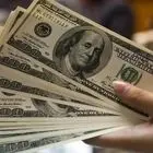 قیمت دلار امروز 13 تیر 1403/ دلار در تله انتخابات