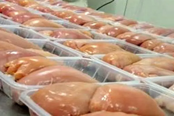 چرا صادرات مرغ و تخم مرغ آزاد شد؟/ مشتری خارجی وجود ندارد!