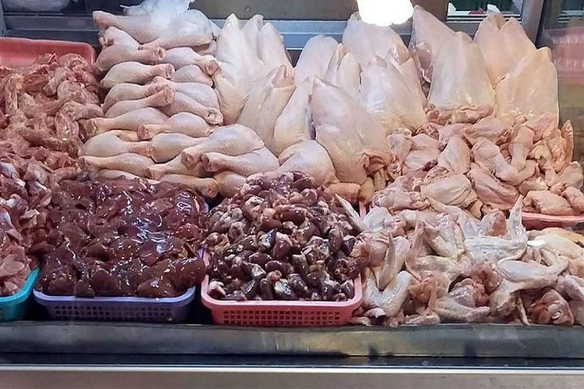 قیمت مرغ گرم ۷ خرداد ۱۴۰۱/ هشدار تولید کنندگان برای کاهش تولید مرغ