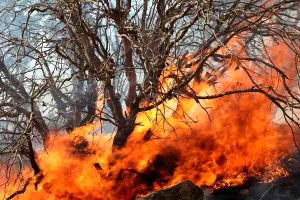 شروع گرما و هشدار برای آتش سوزی مراتع در کردستان