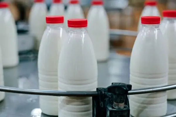 افزایش ۲۰۰ درصدی قیمت شیر واقعیت دارد؟/ چرا شیر خام گران شد؟