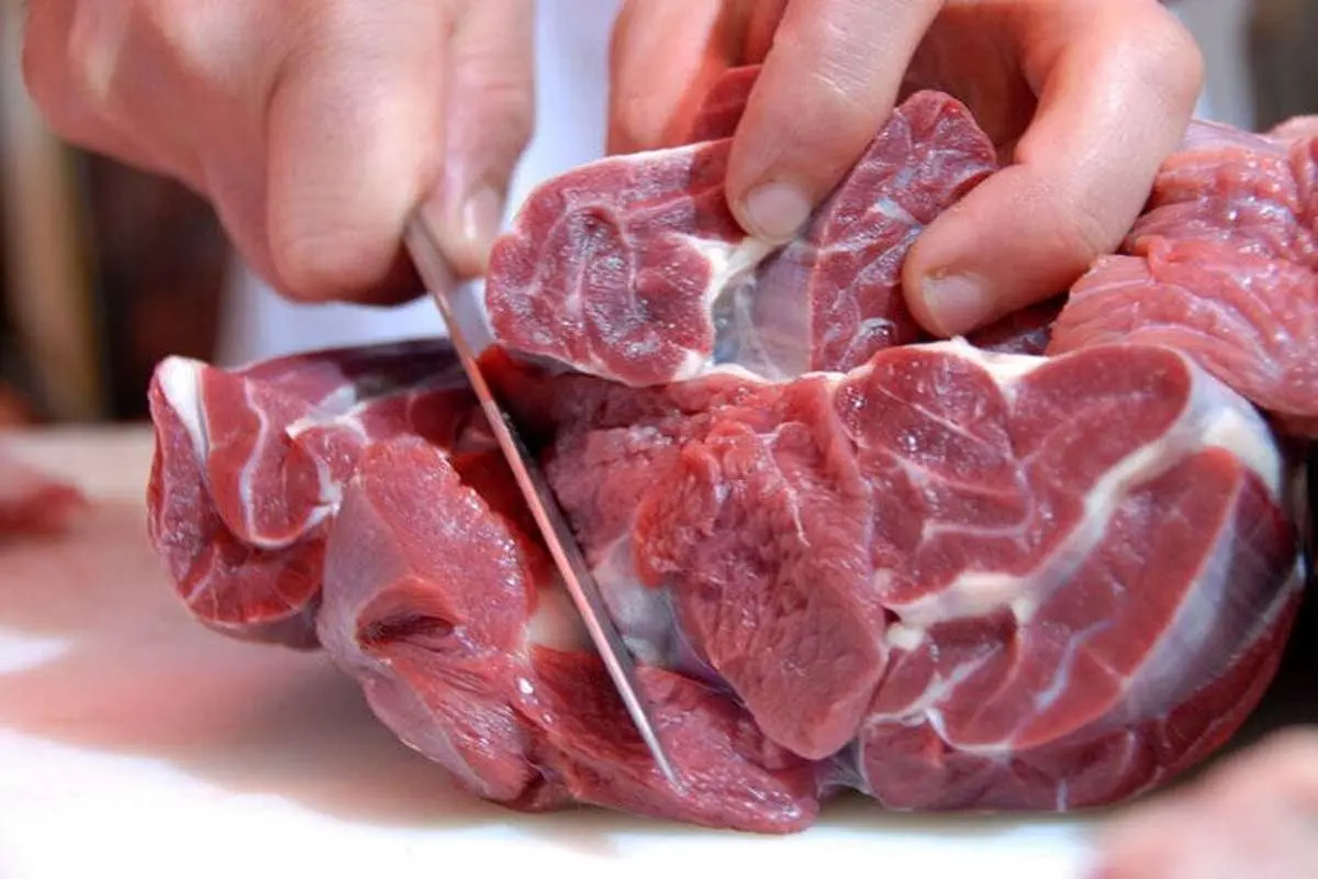 قیمت گوشت قرمز ۱۸ تیر ۱۴۰۱/ گوسفند قربانی کیلویی ۶۴ تا ۷۱ هزار تومان شد