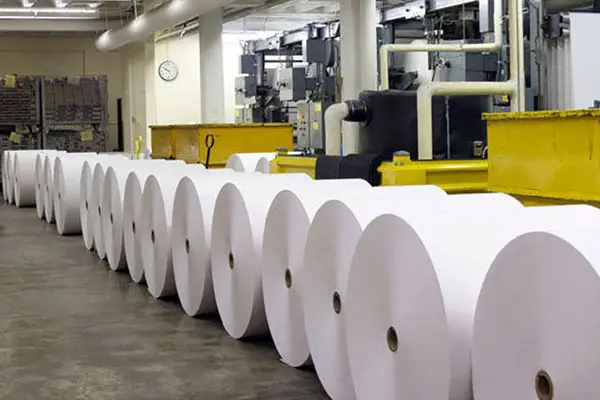 وزیر ارشاد مدعی شد: افزایش ۱۶ برابری تولید کاغذ در کشور