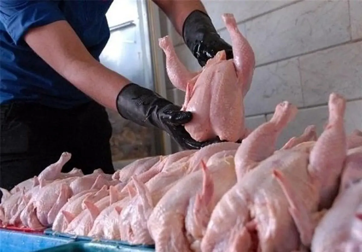 قیمت مرغ امروز ۲۹ تیر در بازار | ران مرغ کیلویی چند؟
