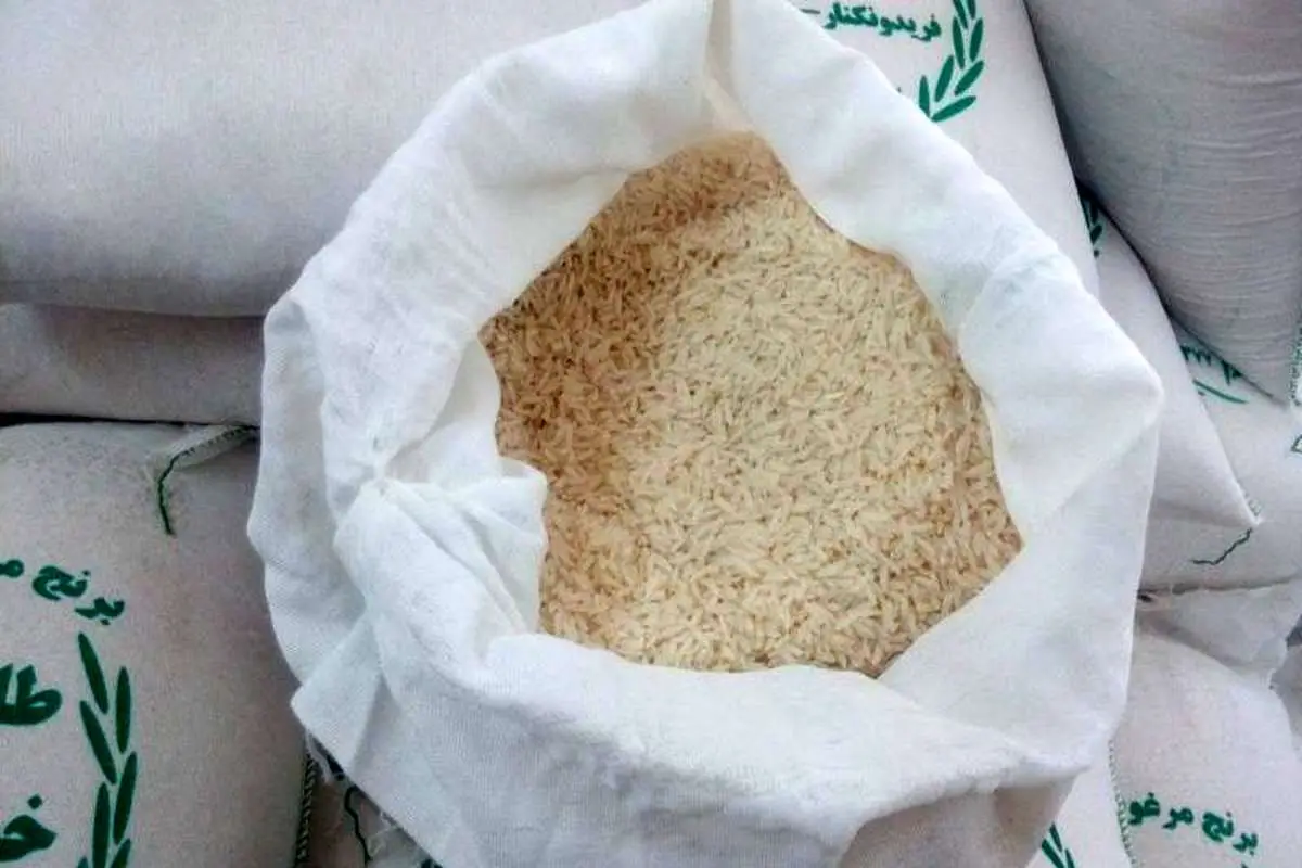 برنج ارزان شد/ برنج طارم و هاشمی کیلویی چند؟