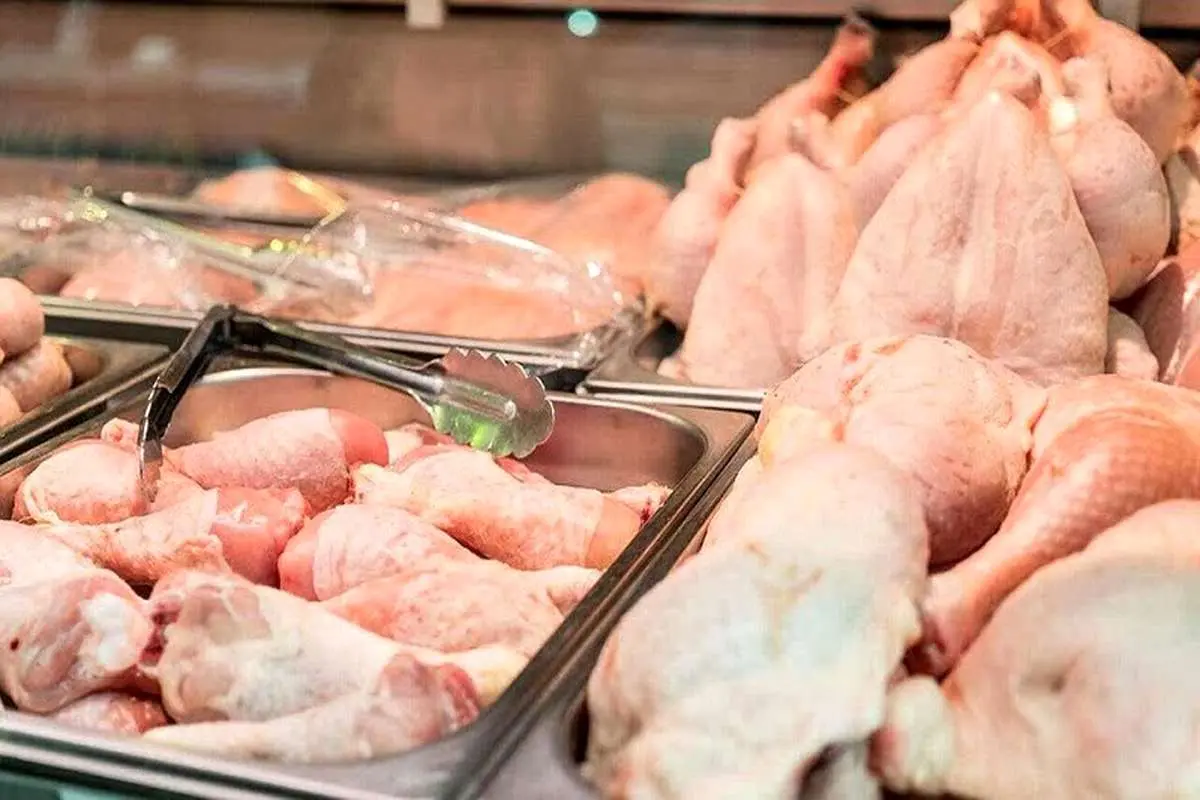 قیمت مرغ گرم ۸ مرداد ۱۴۰۱/ خطر ورشکستگی مرغداران را تهدید می‌کند