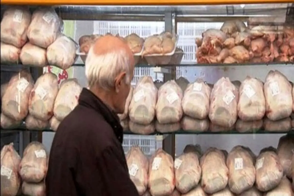 قیمت مرغ گرم امروز ۱۹ مرداد ۱۴۰۱/ علت کاهش خرید گوشت سفید در خراسان جنوبی چیست؟