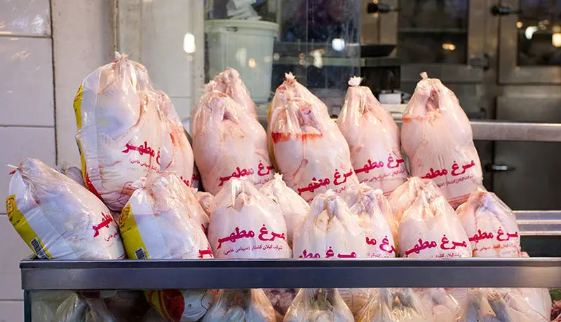قیمت مرغ گرم امروز ۳۱ مرداد ۱۴۰۱/ رشد ۱۰۳ درصدی قیمت مرغ ظرف یکسال