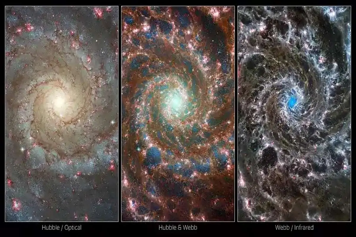 تصاویر جدید جیمز وب / جزئیات خیره‌کننده از کهکشان مارپیچی «فانتوم»