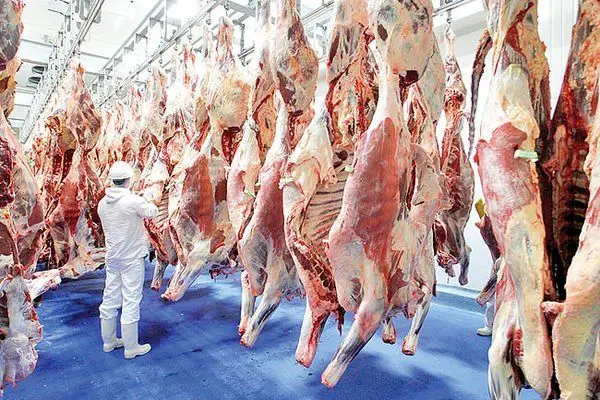 قیمت گوشت امروز ۱۲ شهریور ۱۴۰۱/ کشف ۸ تن گوشت قرمز فاسد