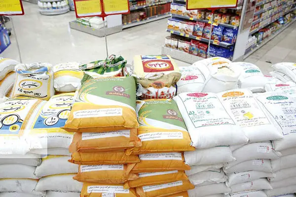 آغاز خرید توافقی برنج شمال با قیمت ۷۵۰ ‌هزار ریال