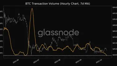 دارندگان بیت‌کوین قبل از HODL این معیارها را بخوانند