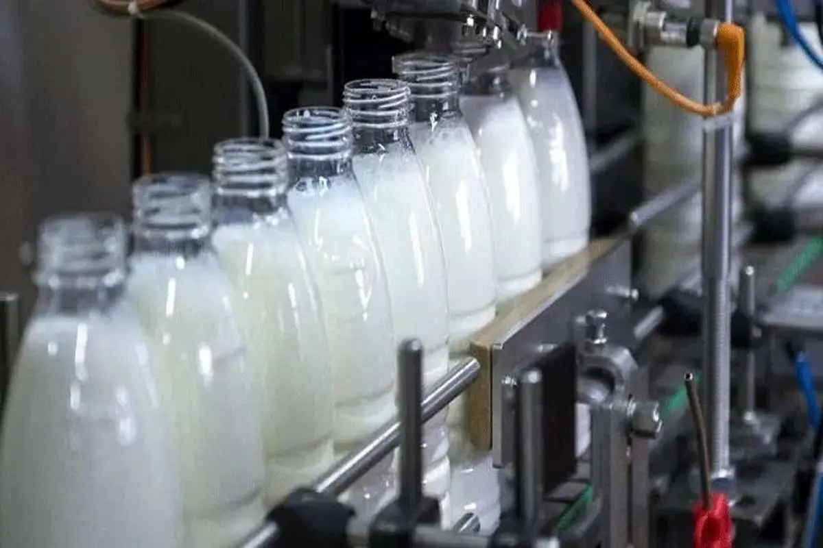 بهانه جدید برای بالابردن قیمت لبنیات/ تولید شیر زیان‌ده است؟