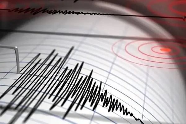 زلزله ۴.۶ ریشتری سیرچ کرمان را لرزاند