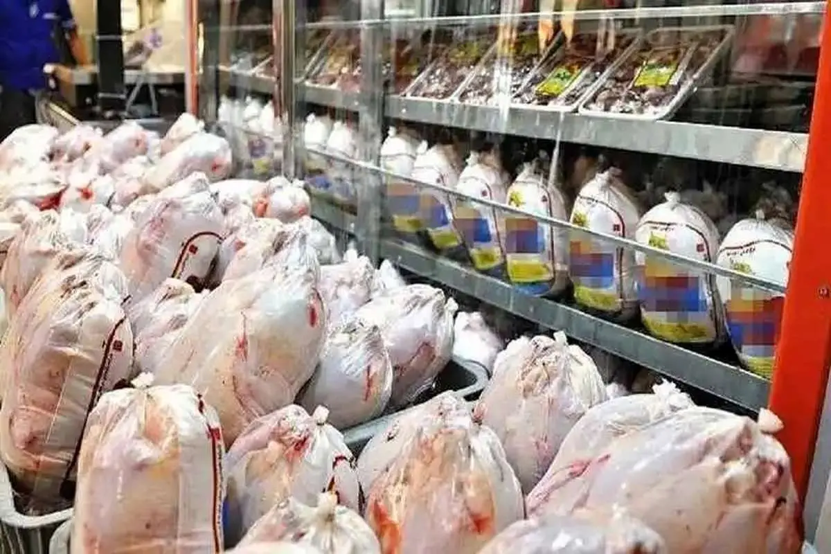 قیمت مرغ افزایش می‌یابد؟