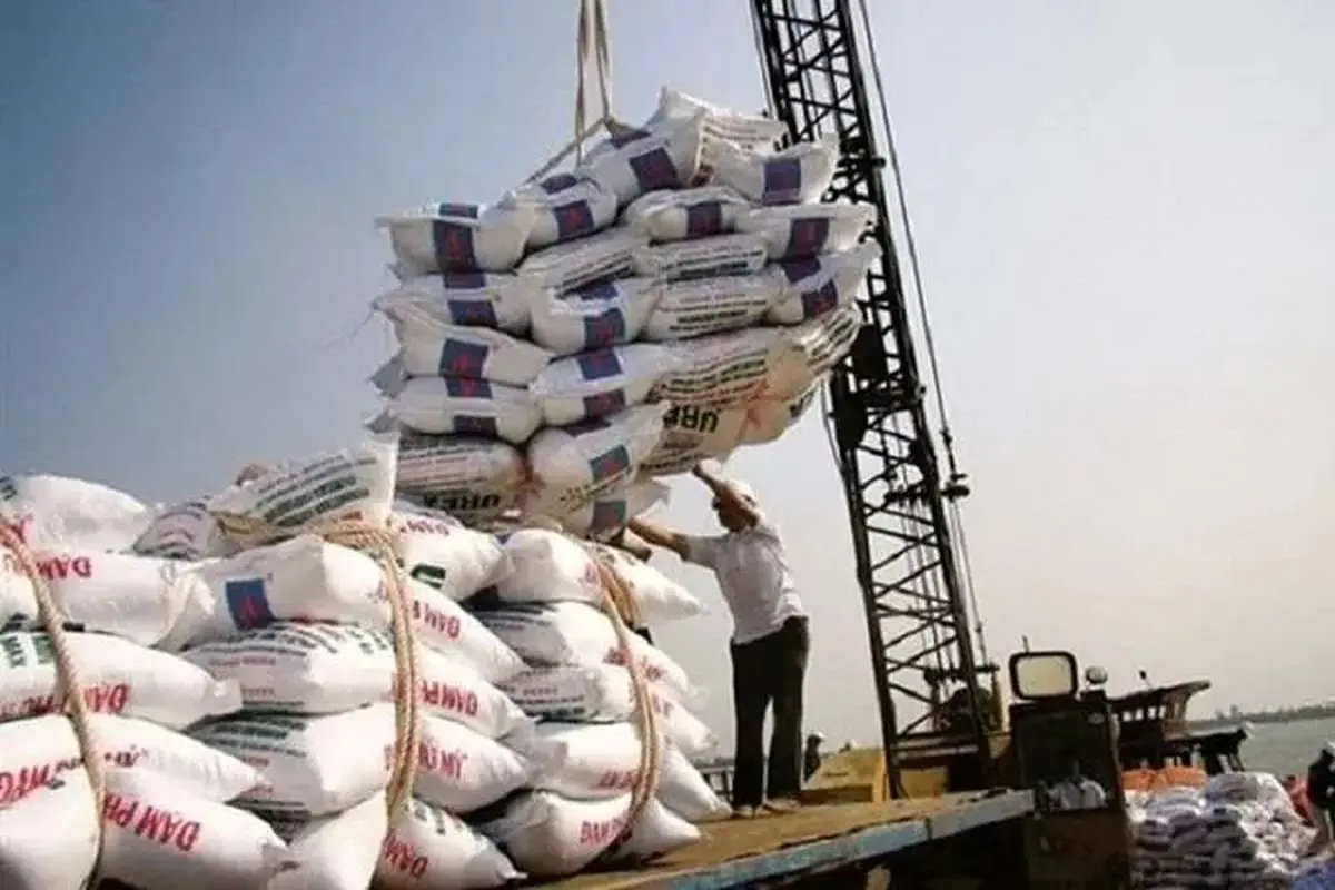 برنج و چای گران می‌شوند؟/ احتمال افزایش قیمت به بهانه ممنوعیت واردات