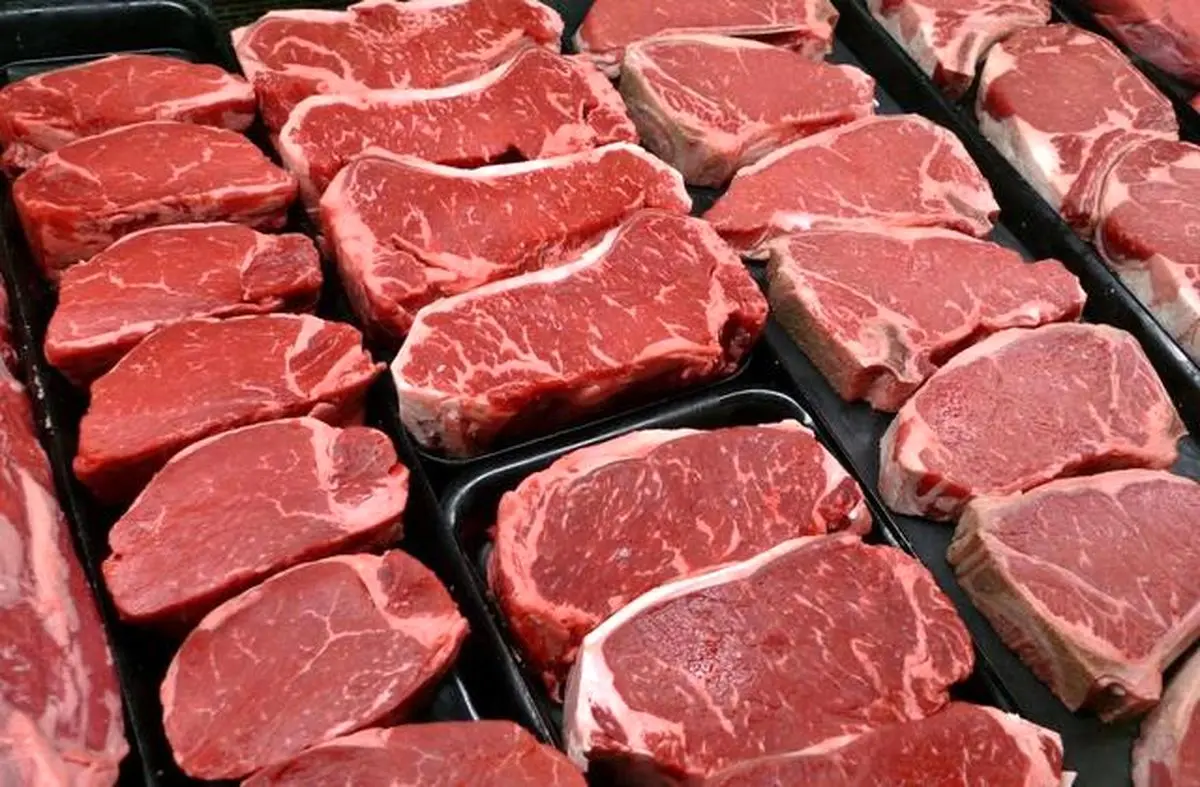 آغاز توزیع گوشت قرمز به نرخ دولتی