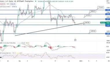 رشد بازار ارز دیجیتال در پی بیکاری در ایالات متحده آمریکا