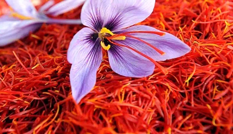 خرید زعفران از بورس کالا سود دارد؟