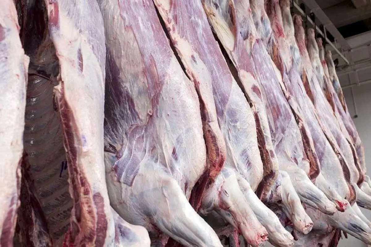 عرضه گوشت گرم وارداتی در کشور آغاز شد