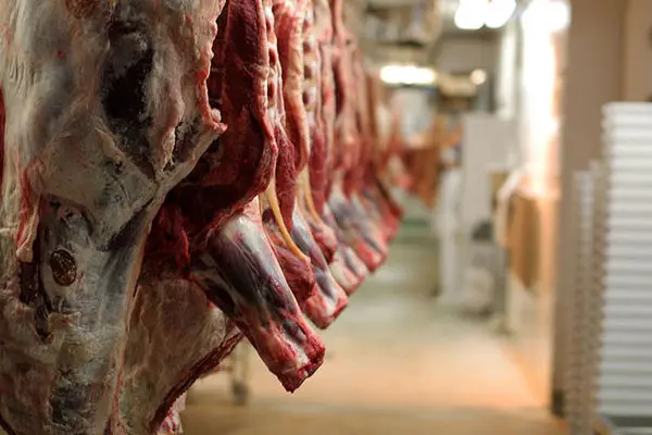مدیرعامل اتحادیه دام سبک:  فروش گوشت کیلویی۷۰۰ هزار تومان سودجویی است