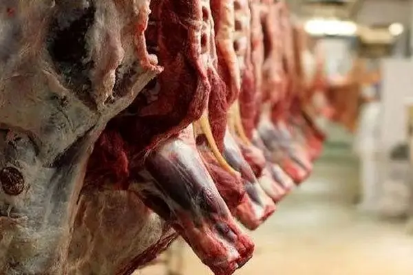 قیمت جدید گوشت قرمز امروز ۸ دی ماه