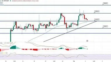 مقاومت گاوهای بیت کوین در سطح 23 هزار دلار