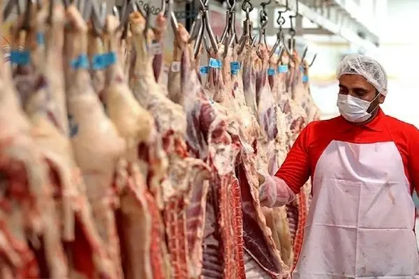 تداوم عرضه گوشت‌های وارداتی تا پایان سال/ آخرین قیمت شقه گوسفندی در بازار