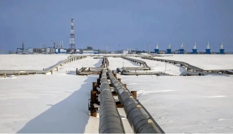 درآمد گازی روسیه نصف شد