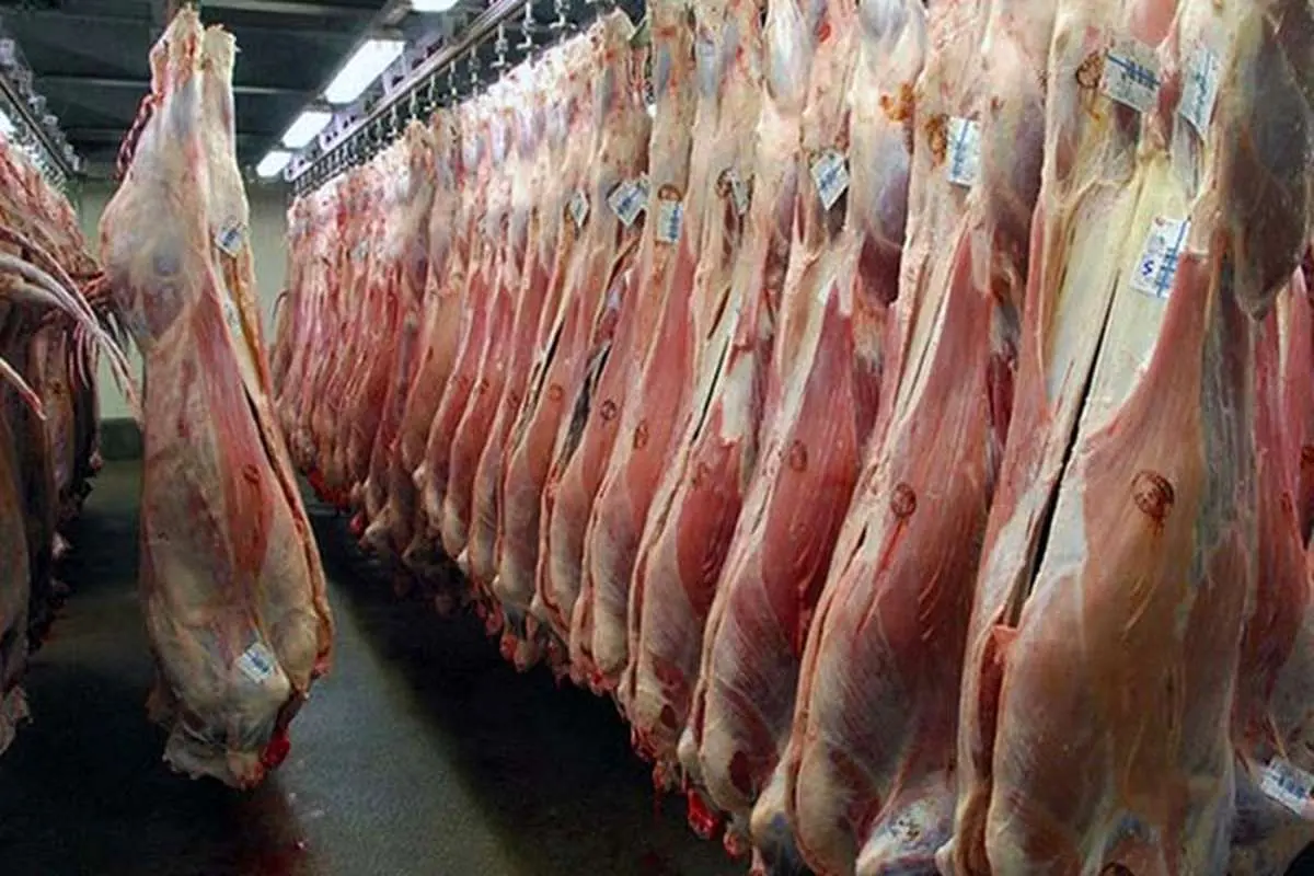 ورود 400 کانتینر گوشت منجمد برزیلی به بندرعباس/ قیمت گوشت کاهش می‌یابد؟