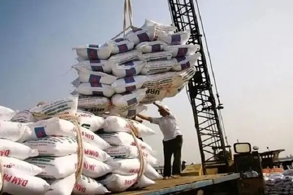 رکوردشکنی واردات برنج/ قیمت برنج ایرانی باز هم افزایش می‌یابد؟