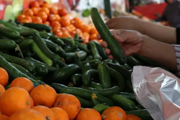 قیمت میلیونی گوجه سبز و چغاله بادام/ ۵ عدد نیم میلیون تومان فروخته شد